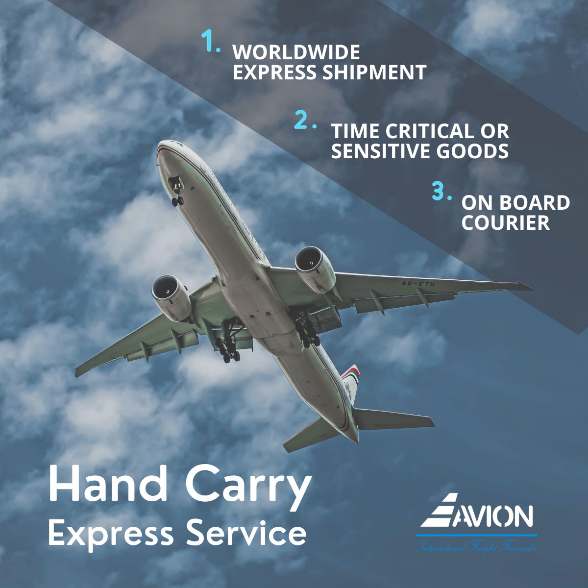 HAND CARRY SERVICE AVION COMPANY